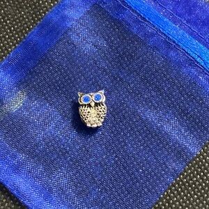 Individual beads sterling silver 925 owl charm with bag